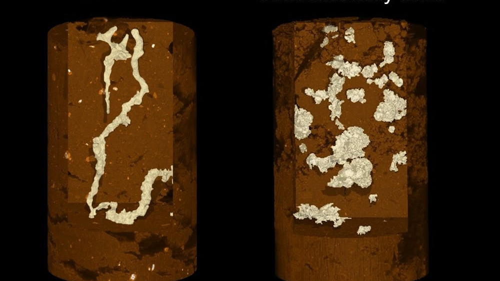 Billedet viser luftlommerne (den hvide farve) i hhv. pløjefri og pløjet jord. Der er væsentligt flere luftlommer i den pløjede jord